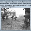 Подвиг Серёжи Корнилова