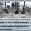 Подвиг Серёжи Корнилова